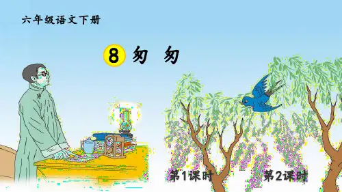 部编人教版六年级语文下册第8课《匆匆》优质课件(共99张PPT)