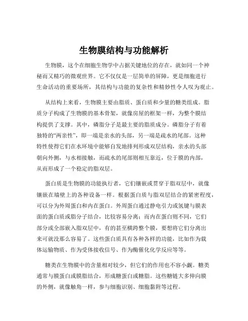 生物膜结构与功能解析