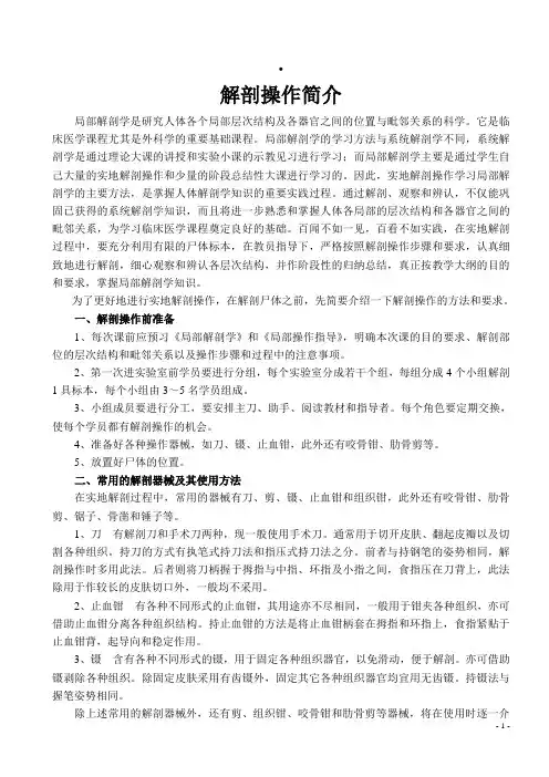 局部解剖学实验操作指导