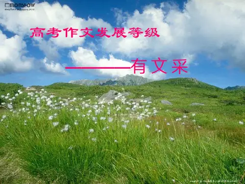 高考作文发展等级——有文采(3)