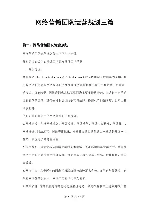 网络营销团队运营规划三篇