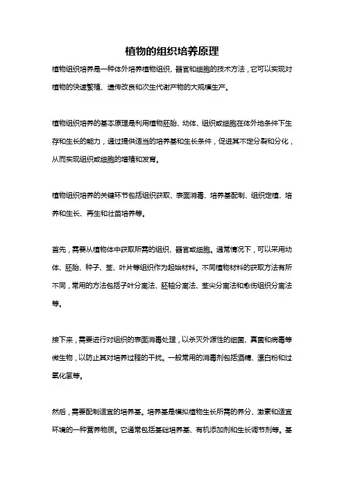 植物的组织培养原理