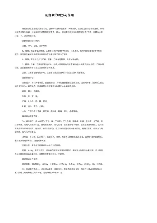 延胡索的功效与作用