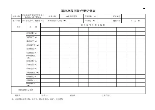 道路高程成果测量表