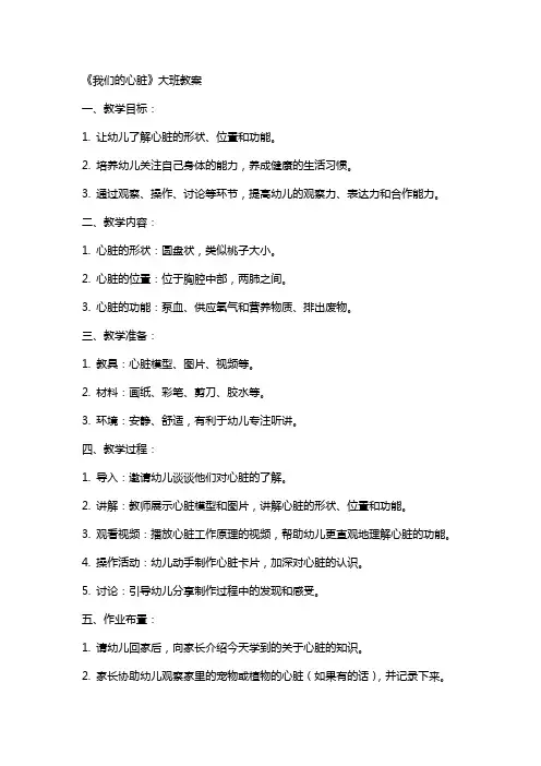 《我们的心脏》大班教案
