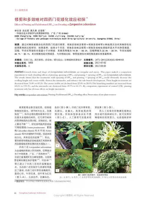 修剪和多效唑对四药门花矮化效应初探