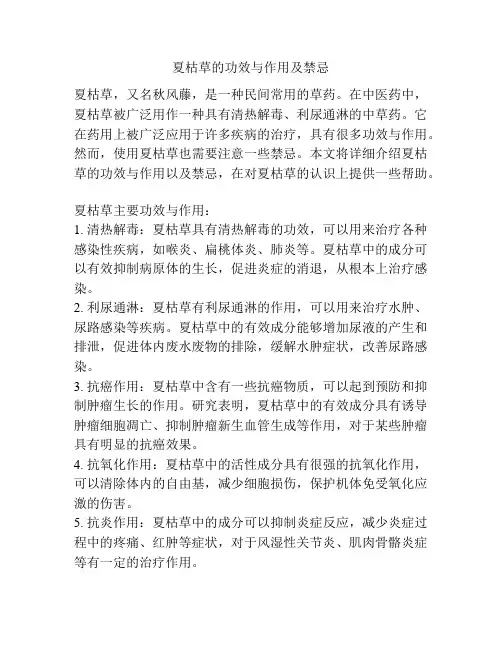 夏枯草的功效与作用及禁忌