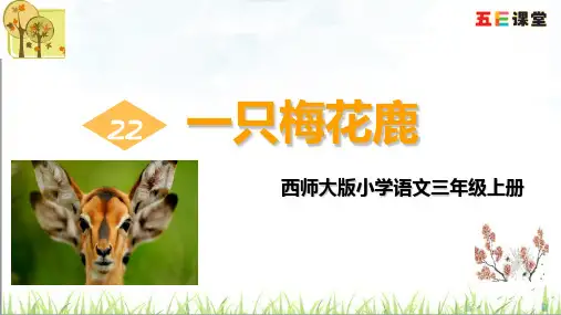 西师大版小学语文三年级上册一只梅花鹿22-PPT课件 