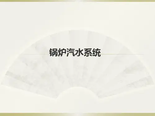 锅炉本体汽水系统