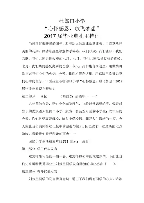 当盛夏伴着暖暖的阳光