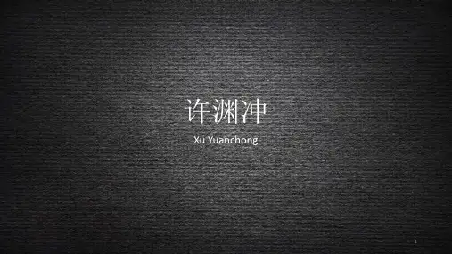 英文介绍许渊冲ppt课件