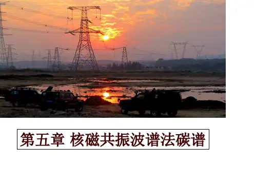 最新第五章 核磁共振波谱法碳谱PPT课件