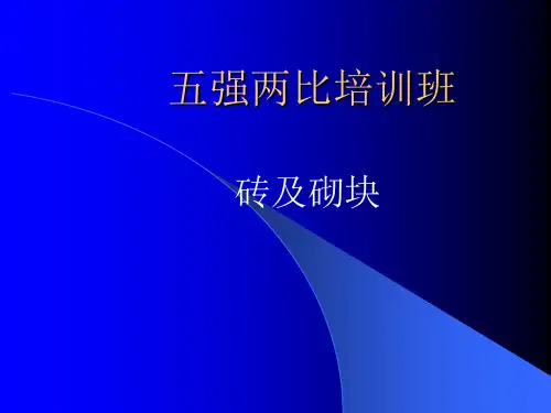 五强两比砖及试块