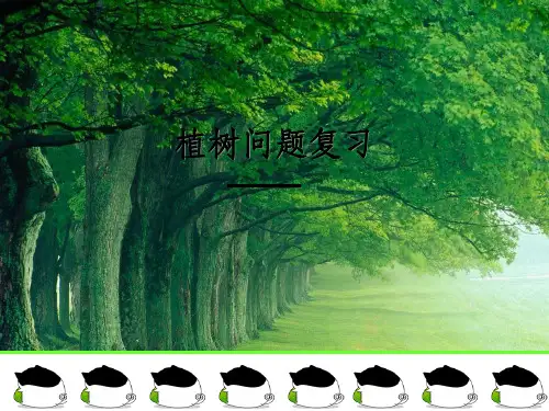 人教版五年级上册数学植树问题总复习ppt课件