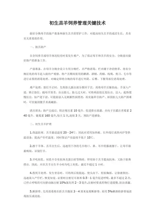 初生羔羊饲养管理关键技术