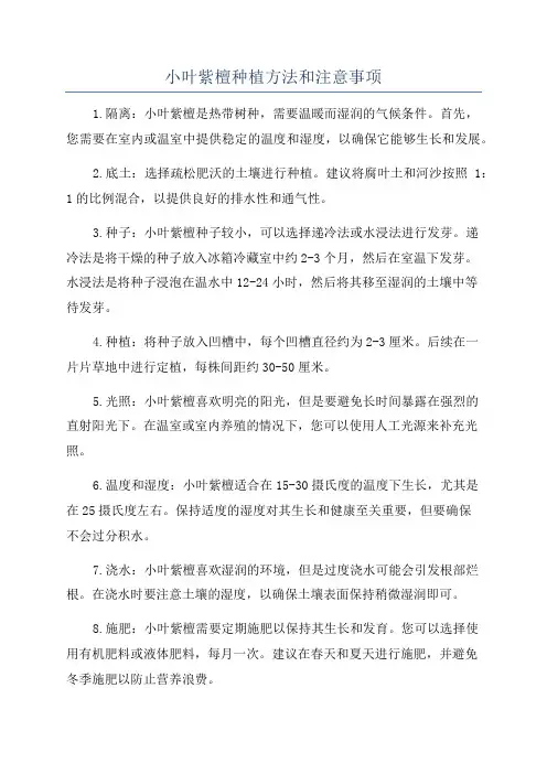 小叶紫檀种植方法和注意事项