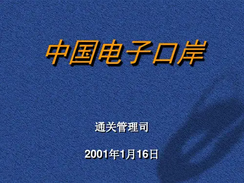 中国电子口岸(1)