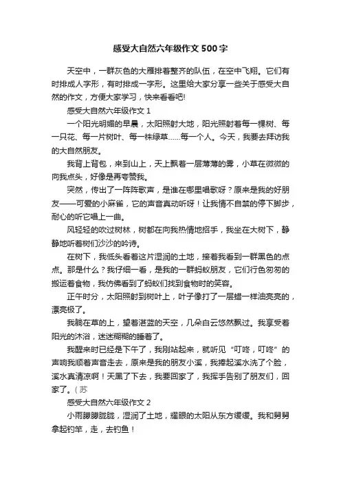 感受大自然六年级作文500字