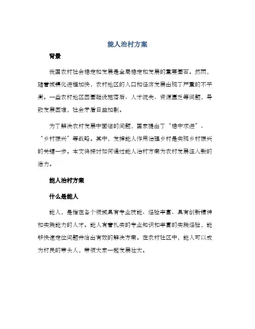 能人治村方案