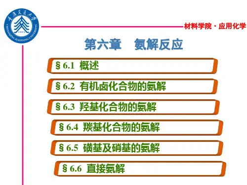 第六章 氨解反应讲解