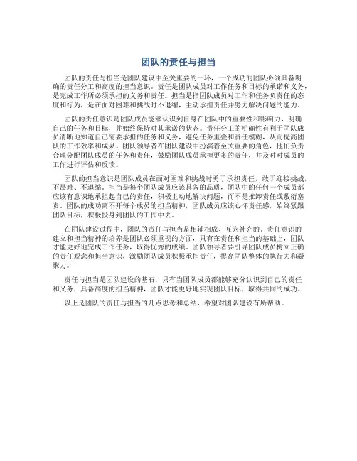 团队的责任与担当200字