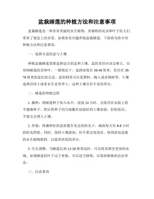 盆栽睡莲的种植方法和注意事项