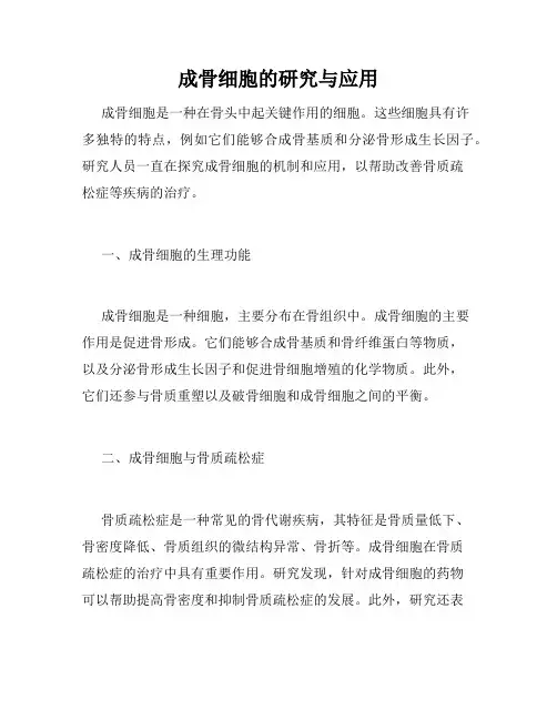成骨细胞的研究与应用