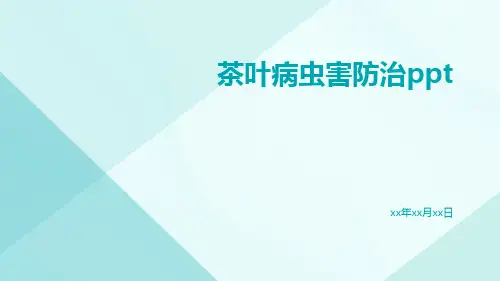 茶叶病虫害防治PPT