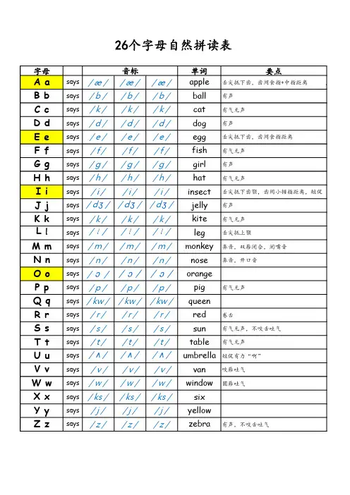 新概念入门级A--26个字母自然拼读表(带音标)