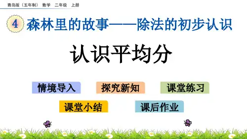 平均分除法课件