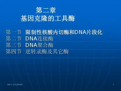 第二章  工具酶.限制酶