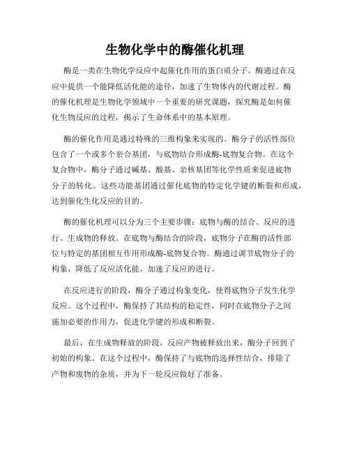 生物化学中的酶催化机理