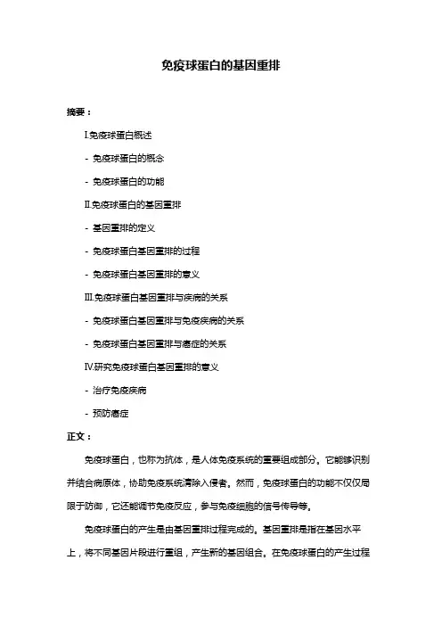 免疫球蛋白的基因重排