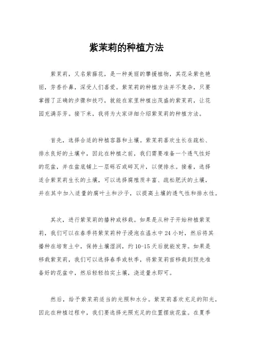 紫茉莉的种植方法
