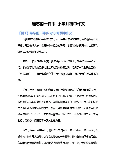 难忘的一件事 小学升初中作文