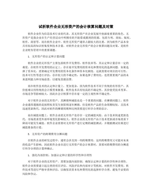 试析软件企业无形资产的会计核算问题及对策
