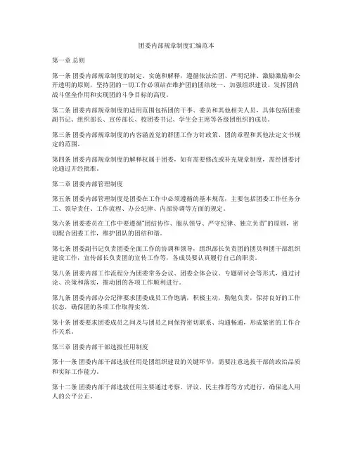 团委内部规章制度汇编范本