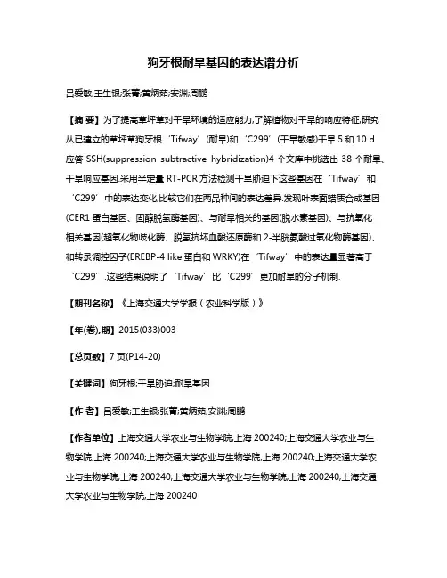 狗牙根耐旱基因的表达谱分析