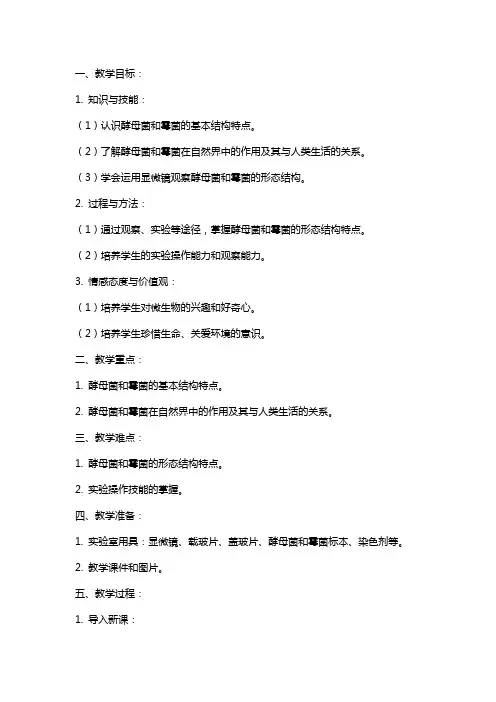 七年级生物上册《酵母菌和霉菌》教案