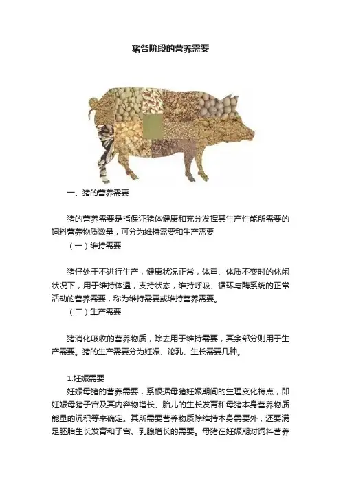 猪各阶段的营养需要