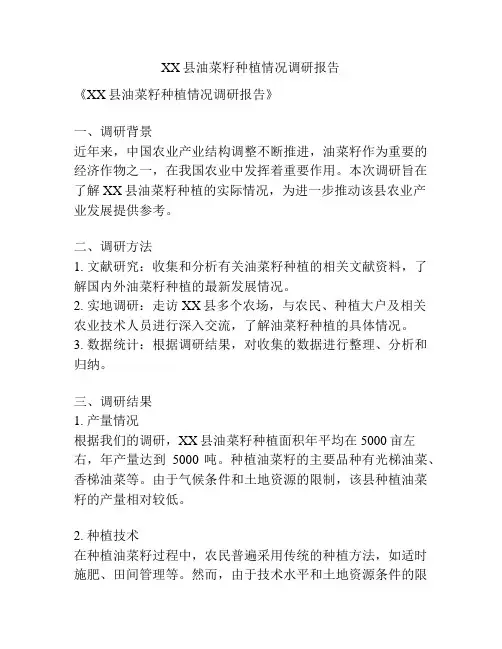 XX县油菜籽种植情况调研报告