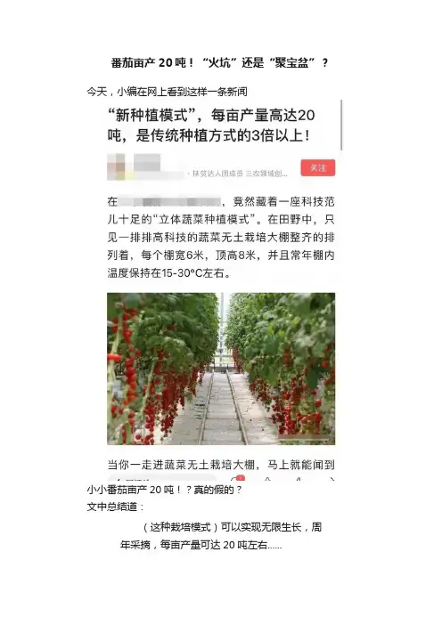 番茄亩产20吨！“火坑”还是“聚宝盆”？