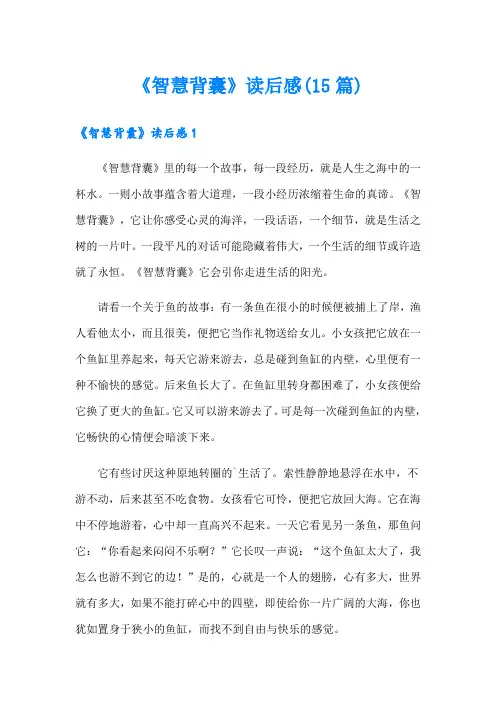 《智慧背囊》读后感(15篇)