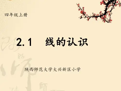 北师大版《线的认识》PPT精美课件