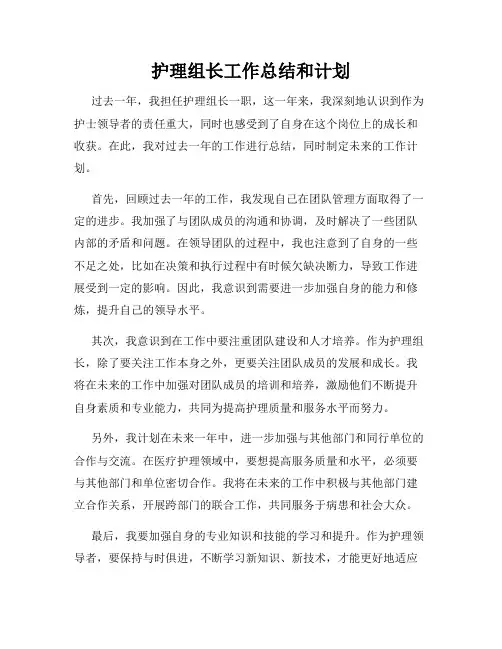 护理组长工作总结和计划