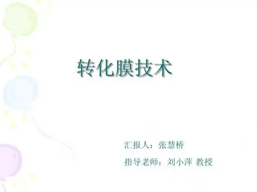 转化膜