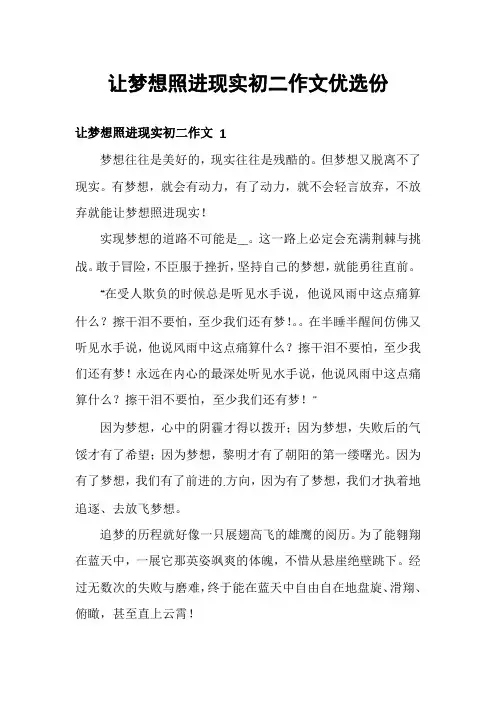 让梦想照进现实初二作文优选份