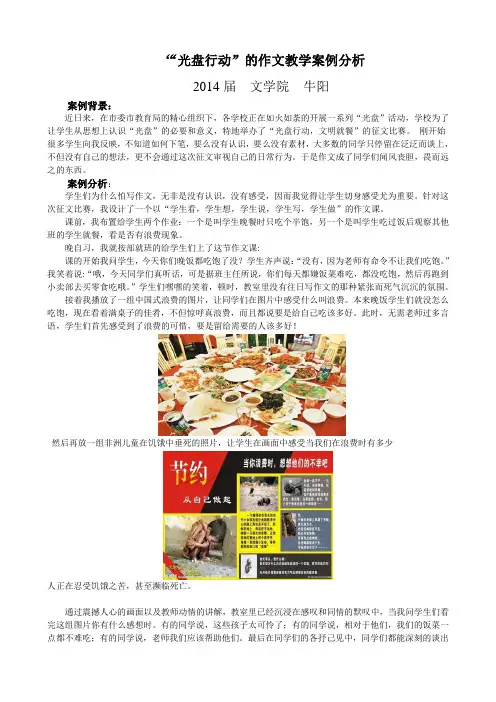 作文 案例分析