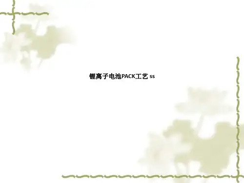 锂离子电池PACK工艺 