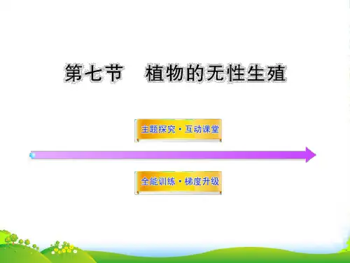 八年级生物上册 第四单元 第一章 第七节 植物的无性生殖课件 济南版